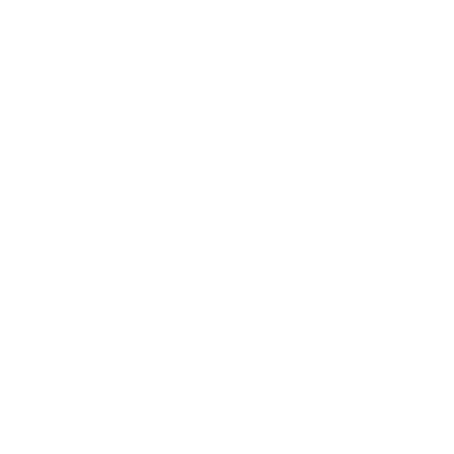 CompetX Logo